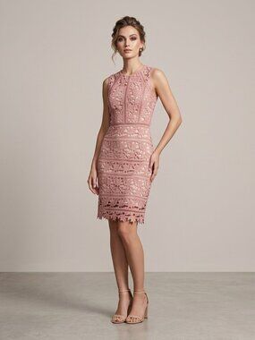 Dress Forum Lace Sheath Party Dress Pink Over Nude Base